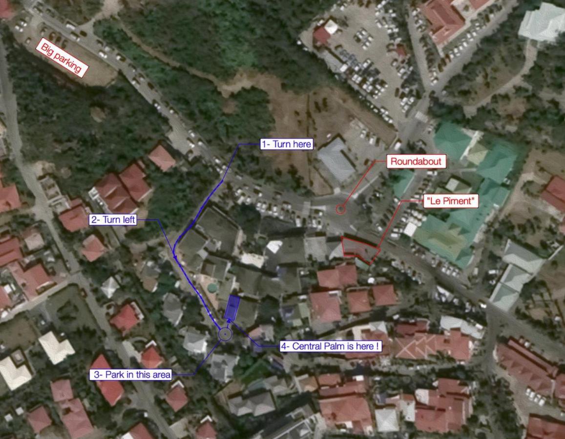 Central Palm St. Barthelemy المظهر الخارجي الصورة